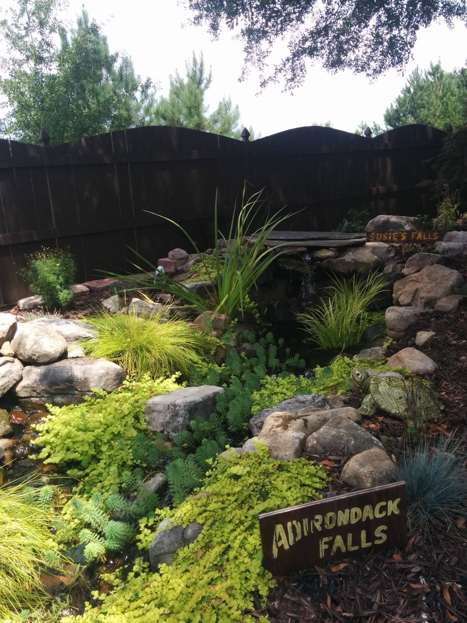 Beautiful Landscape by Local Landscaper