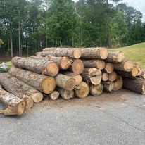 Tree and Stump Removel