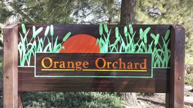 Orange Orchard Calligraphy Paint | Boulder, CO | Brush-On Signs