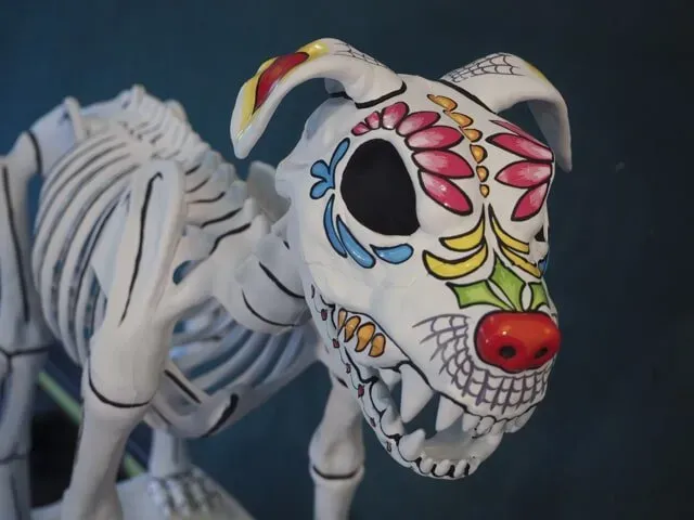 Animal Skull Hand Paint | Boulder, CO | Brush-On Signs