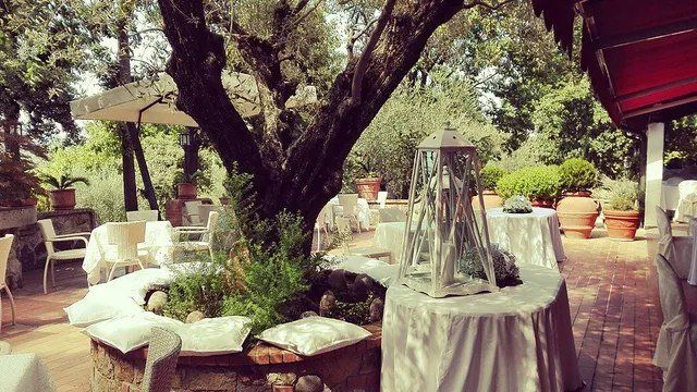 Ristorante all'aperto con tavoli sotto un grande albero, caratterizzato da una lanterna centrale e tovaglie bianche.