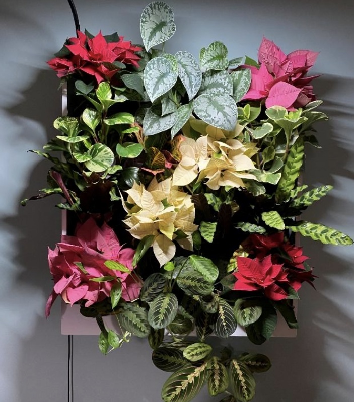 A display of flowers and leaves on a wall