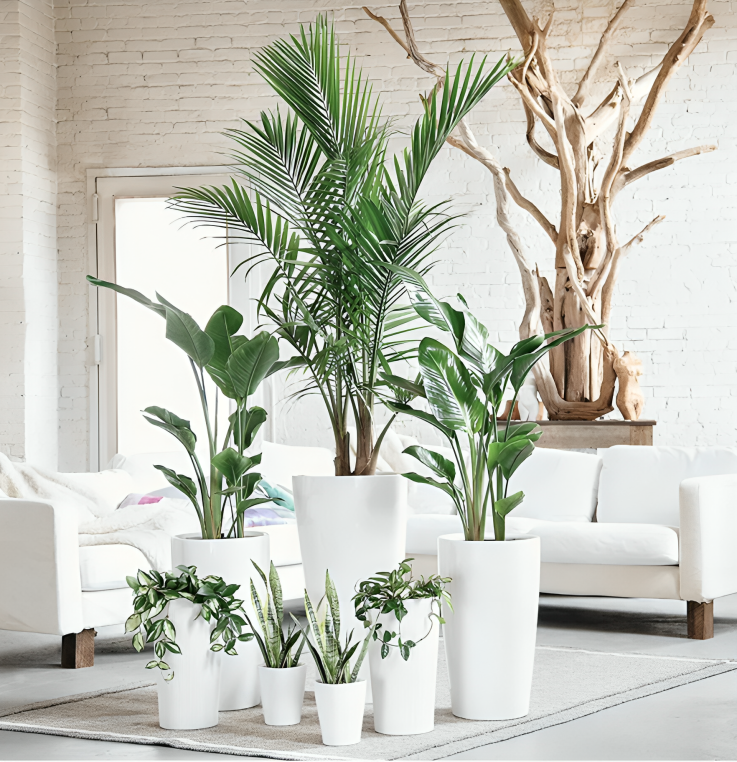 A living room filled with lots of potted plants