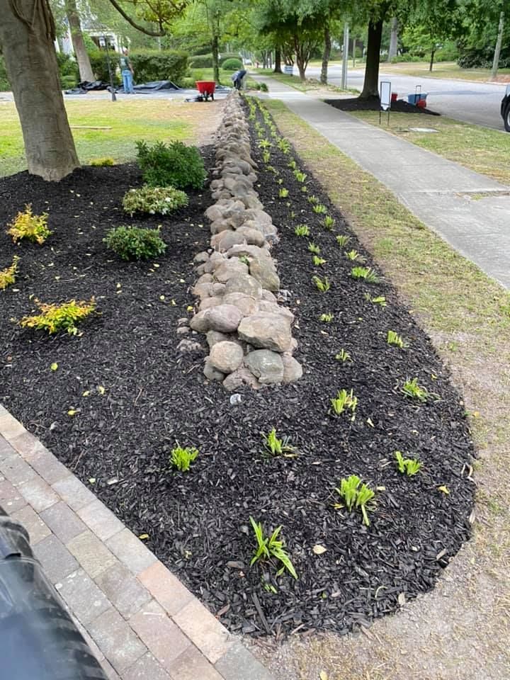 A row of plants growing in a garden next to a sidewalk.