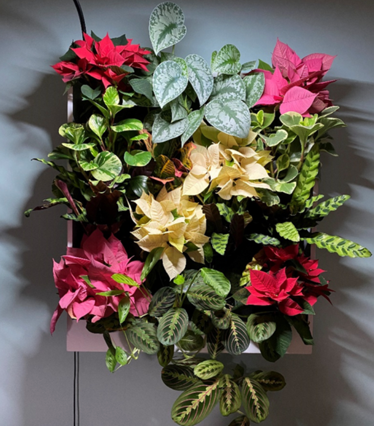 A picture frame filled with flowers and leaves