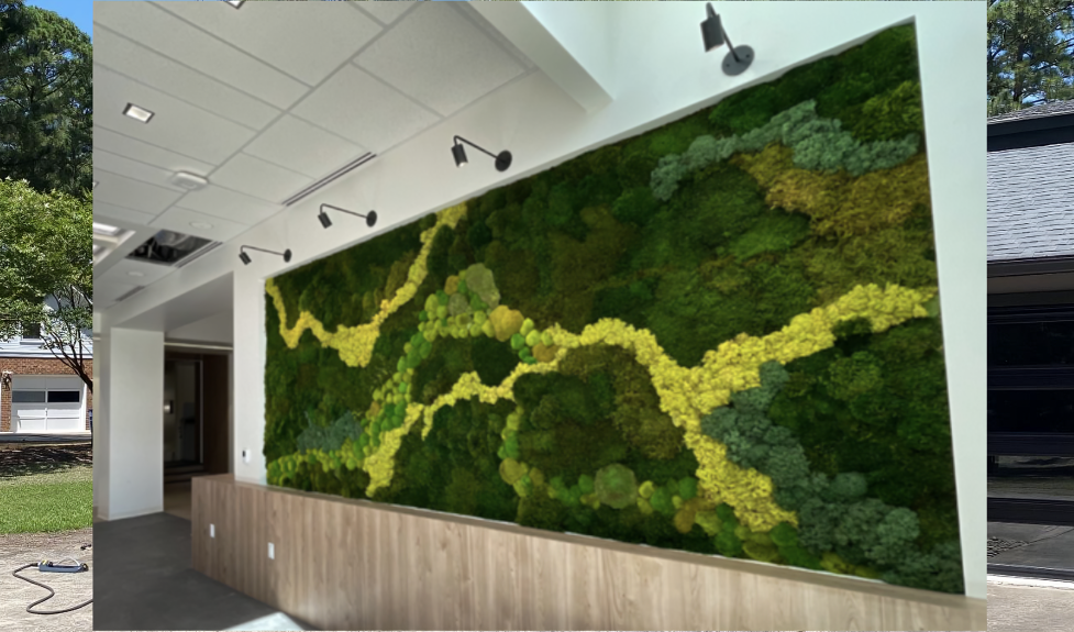 A collage of three pictures of a wall with moss on it.