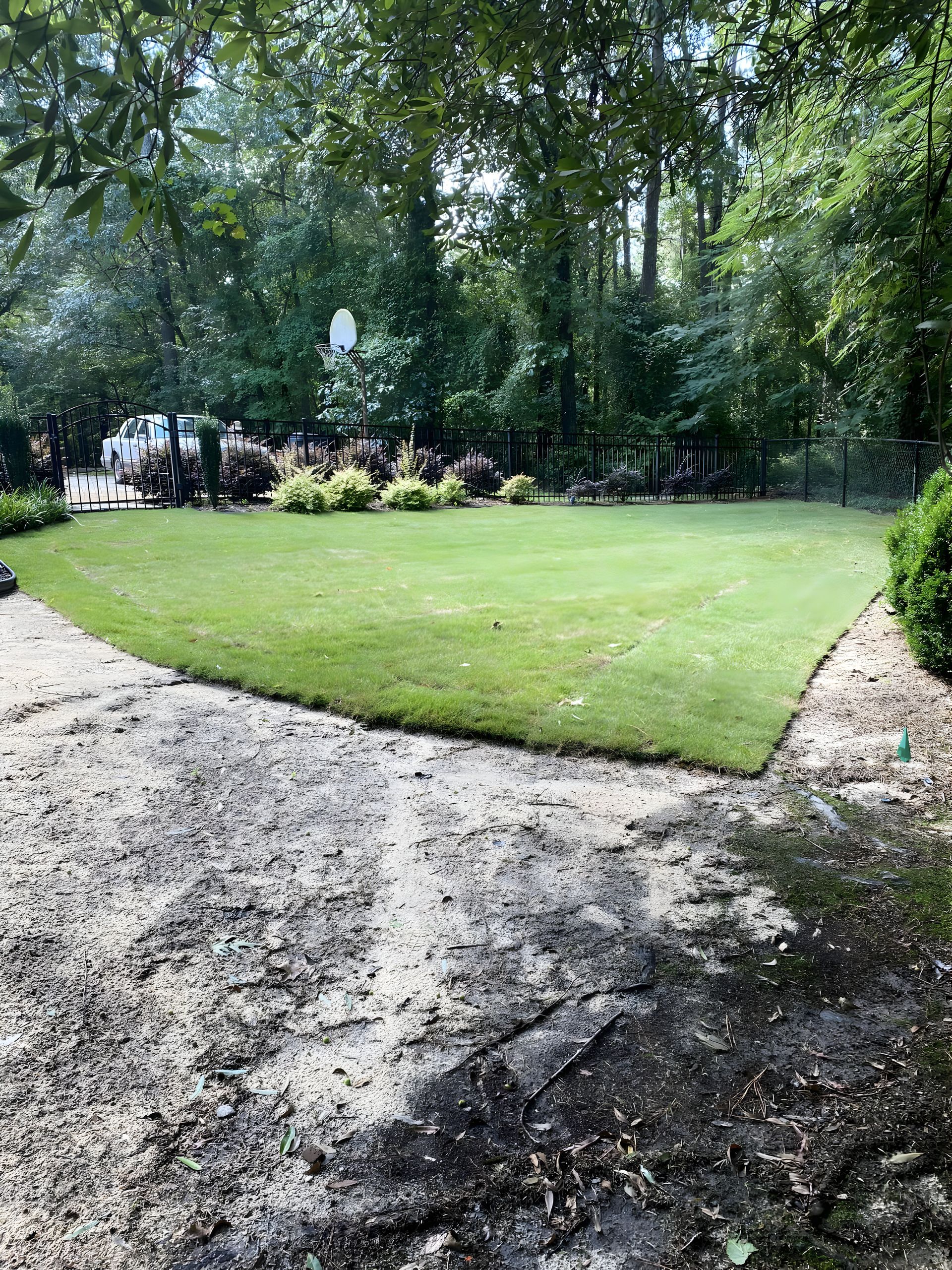 A lush green lawn is being installed in a backyard.