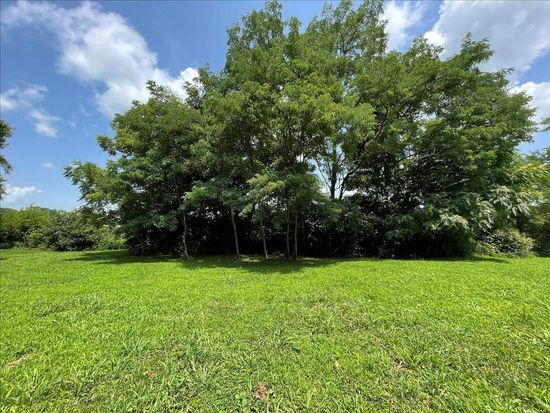 There are trees in the middle of a grassy field.