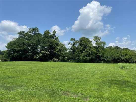 A large grassy field with trees in the background and a blue sky with clouds.