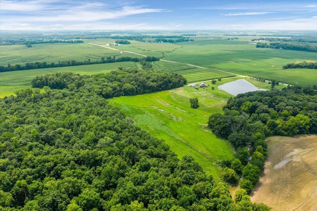 An aerial view of a lush green forest surrounded by fields.