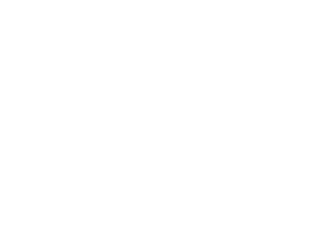 A white background with a few lines on it