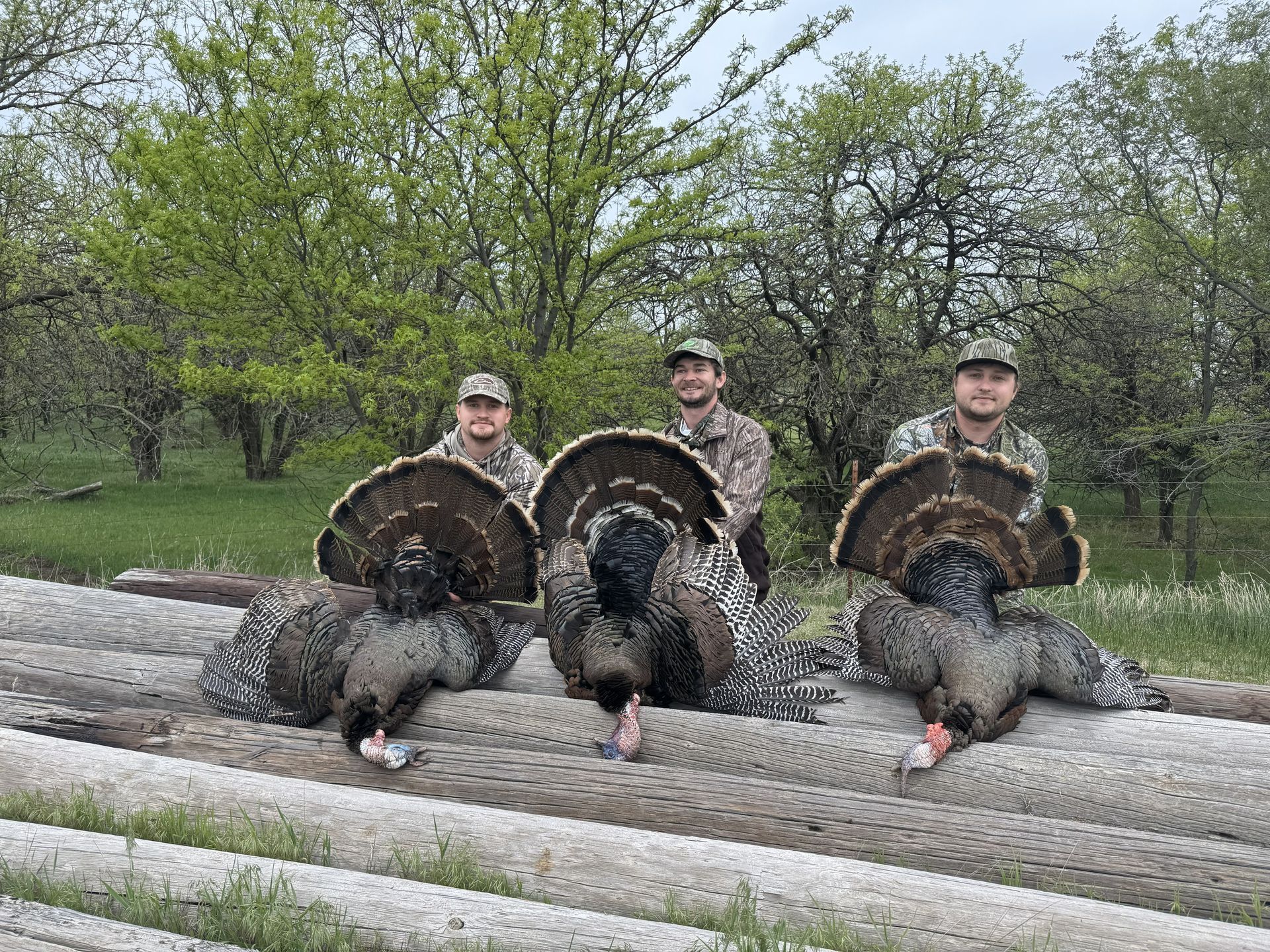 Three men pose with three harvested turkeys, outdoors.
