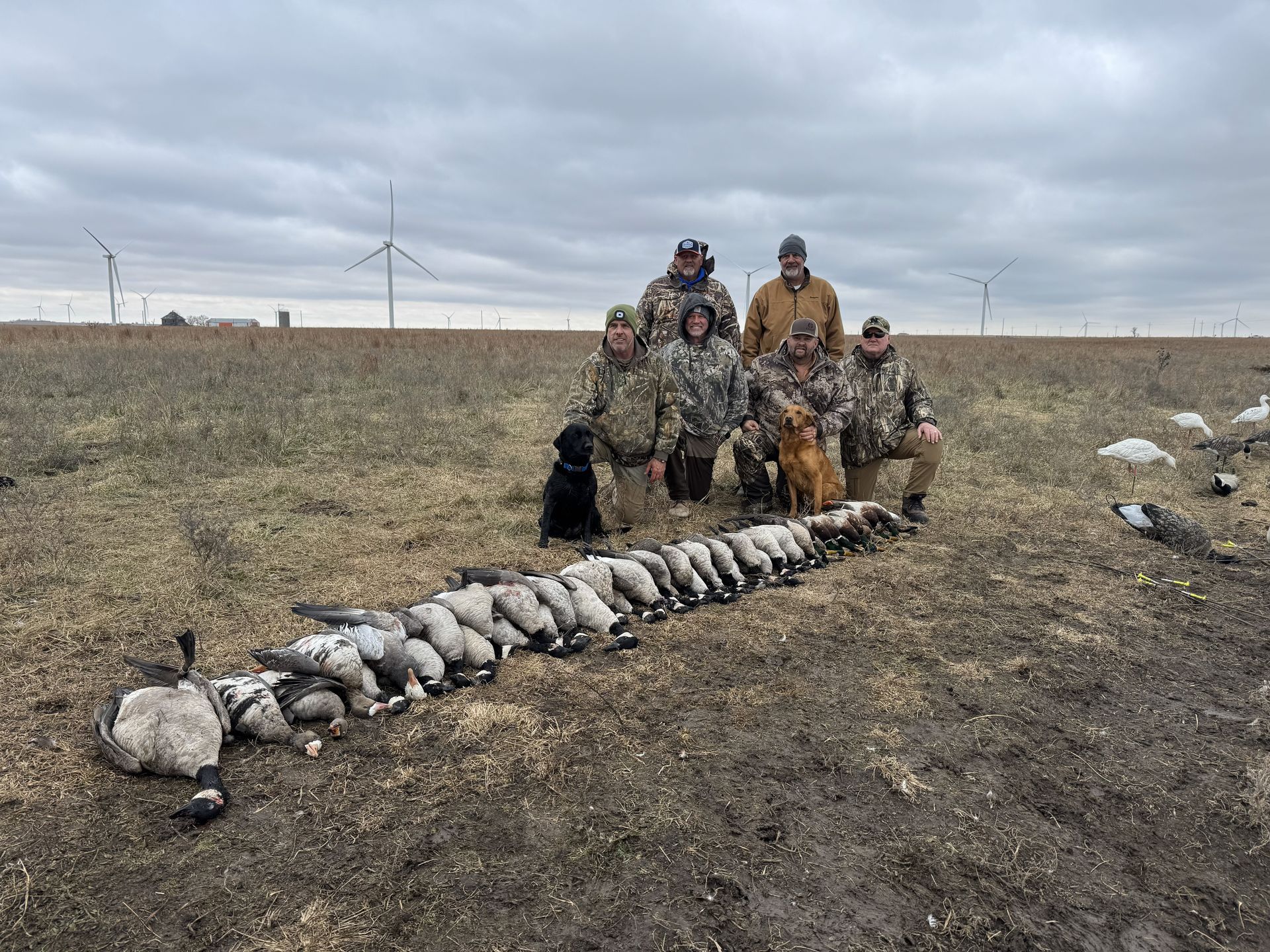 A group of people and dogs pose with harvested geese in a field, wind turbines in the background.