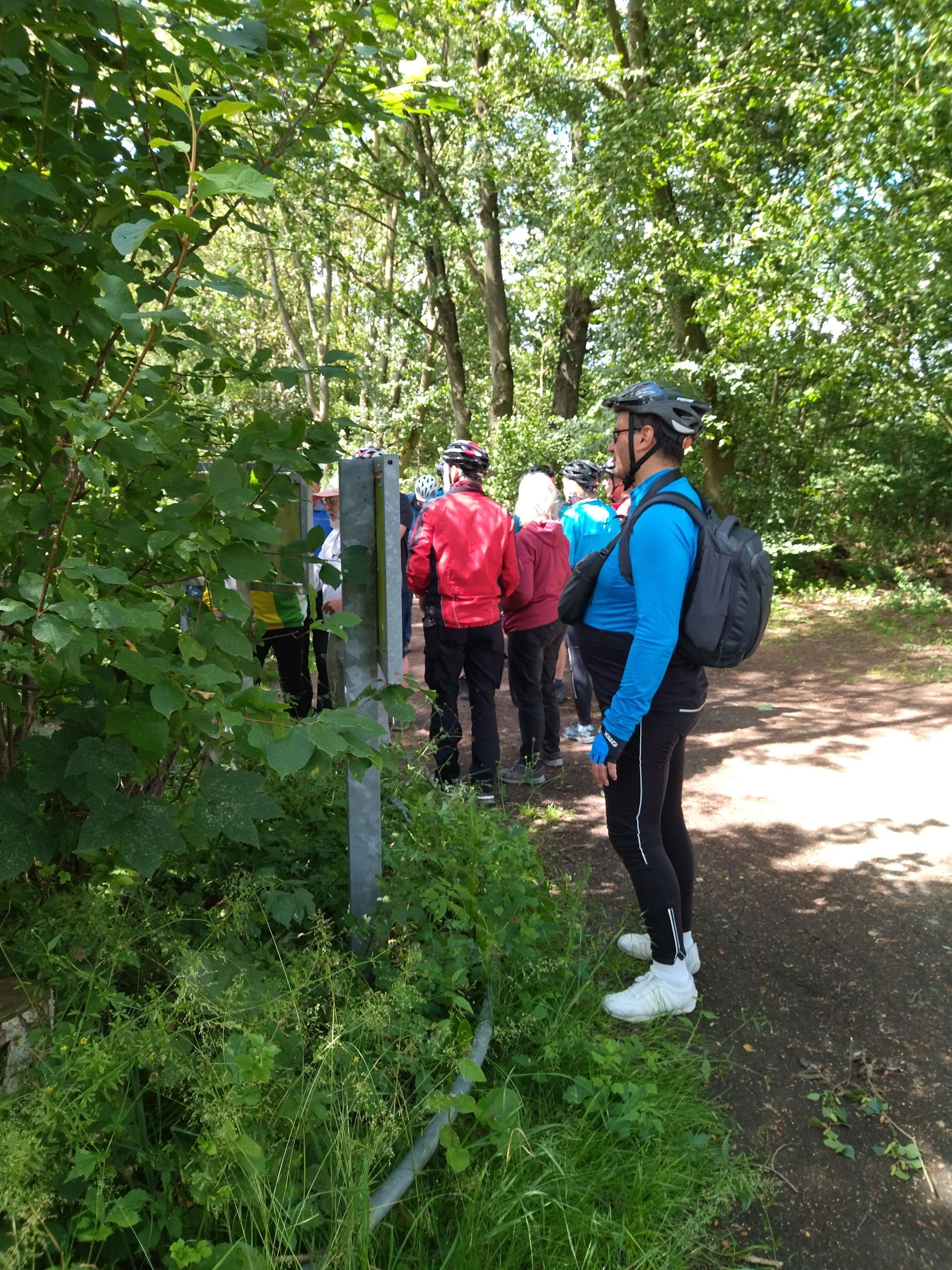 Eine Gruppe von Menschen steht auf einem Weg im Wald.