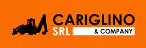 CARIGLINO Srl logo