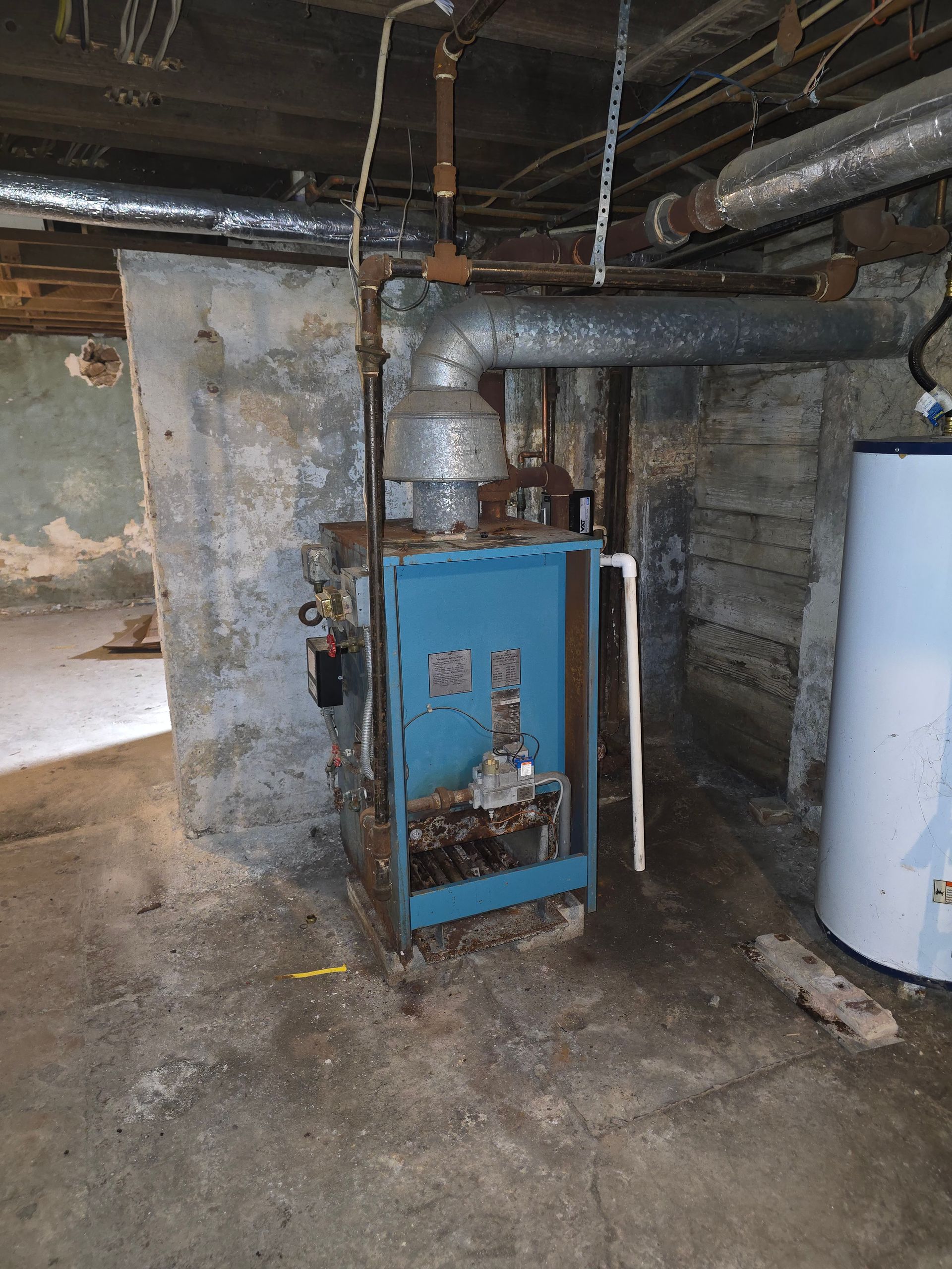 Blue boiler unit in a damp basement utility room with exposed pipes and a white tank.