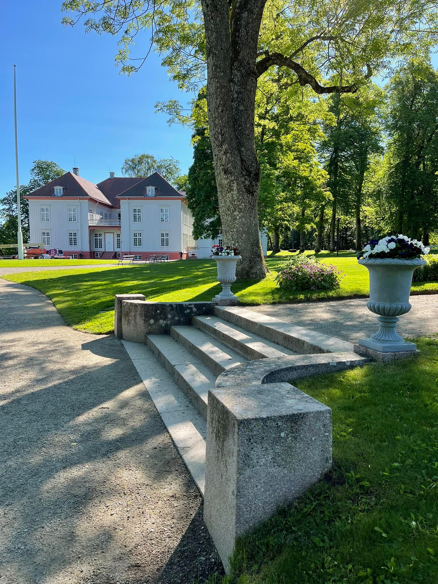 Steintrapper ved siden av et stort tre i en solrik park, som fører mot en hvit bygning med rødt tak.