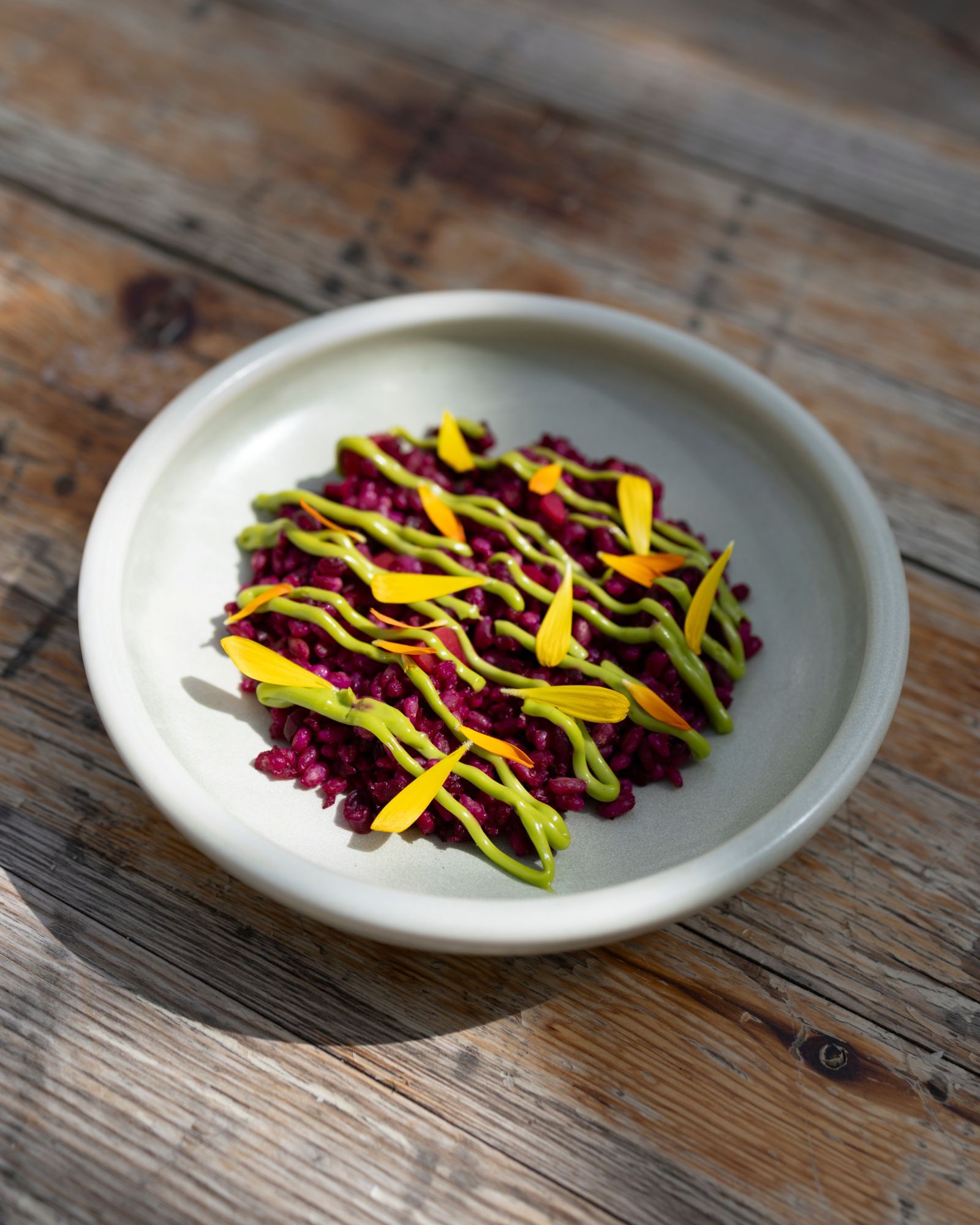 En bolle med livlig lilla rødbetrisotto dynket med grønn urteolje og toppet med spredte gule blomsterblader.