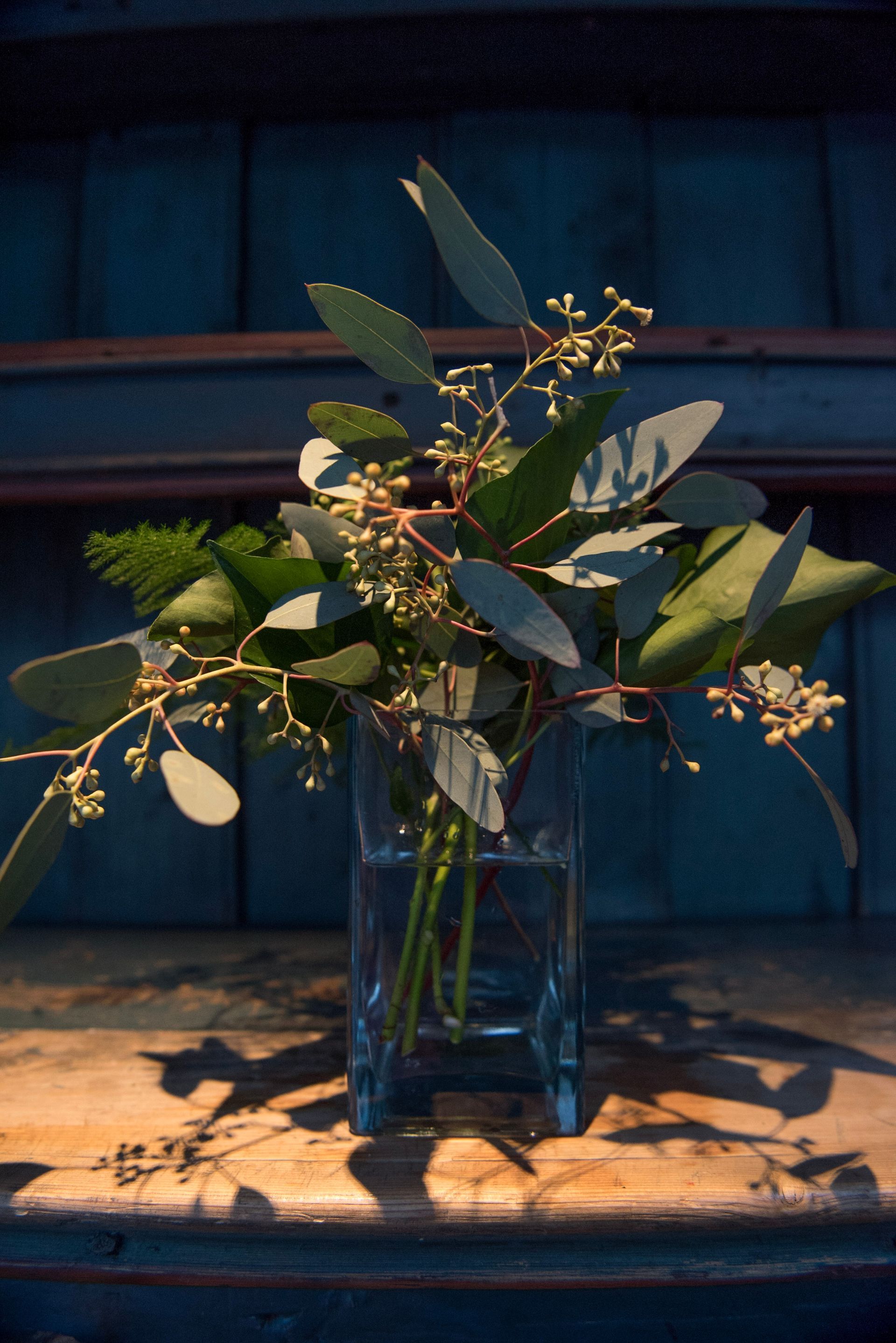 Grønne bladrike grener med små hvite blomster i en blå glassvase på et solbelyst trebord.