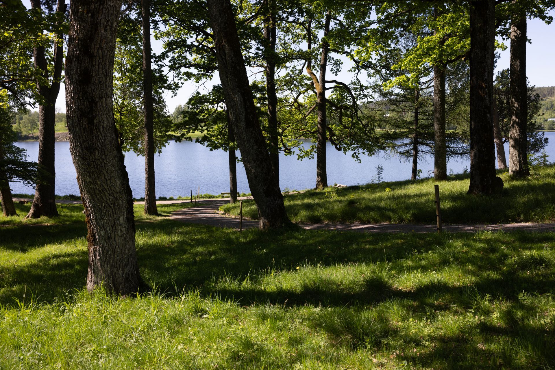Skyggefull park med trær og gress ved en rolig innsjø i bakgrunnen