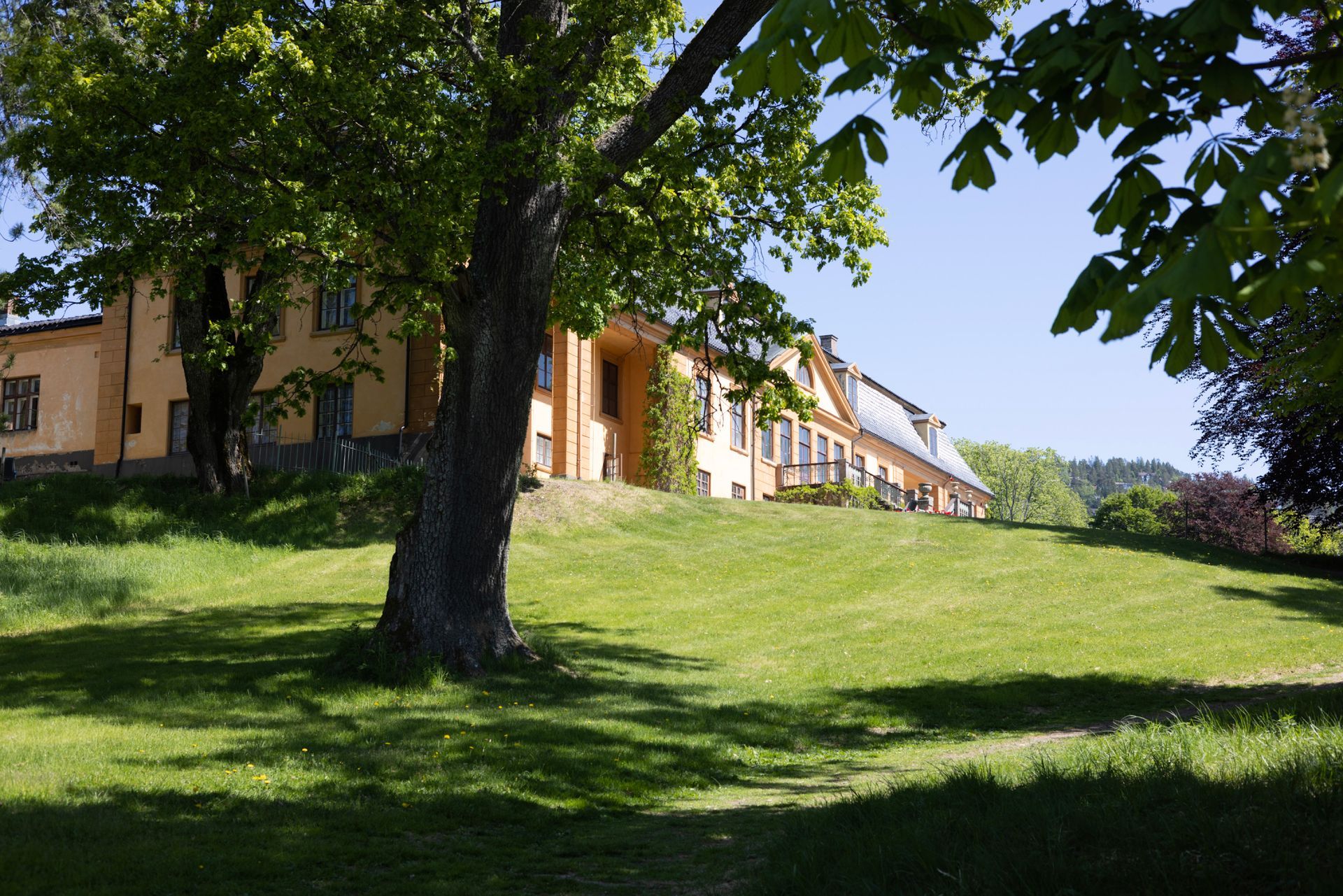 Solrik, gresskledd åsside ved siden av en rekke med solbrune hus under løvrike trær