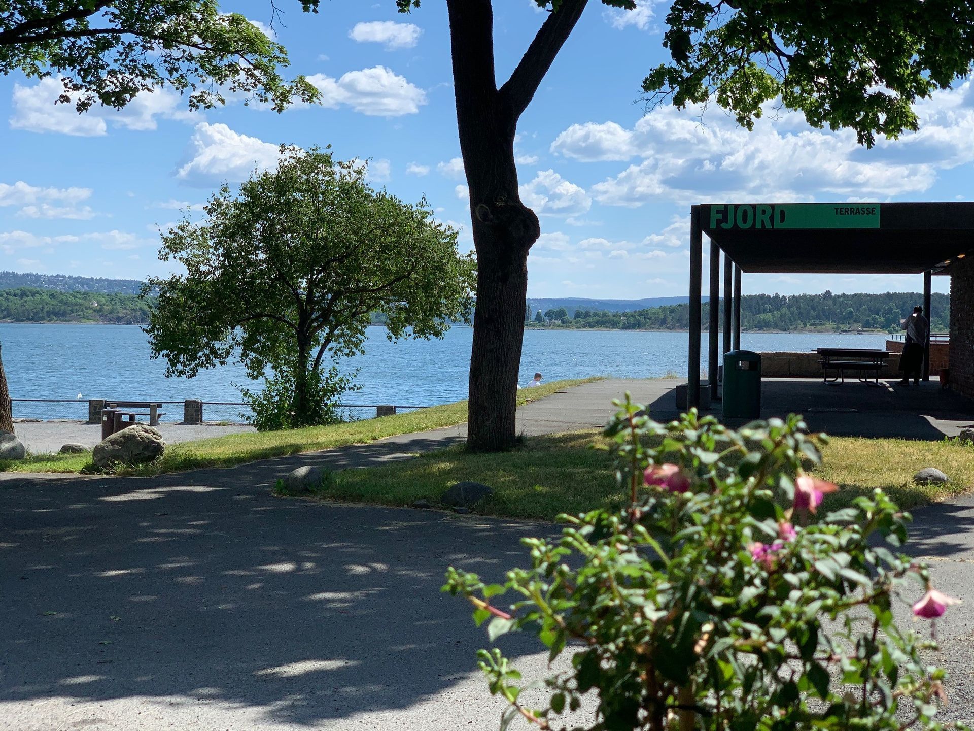 Park ved innsjøen med trær, en liten brygge og en grønn kiosk ved vannet under en lys himmel