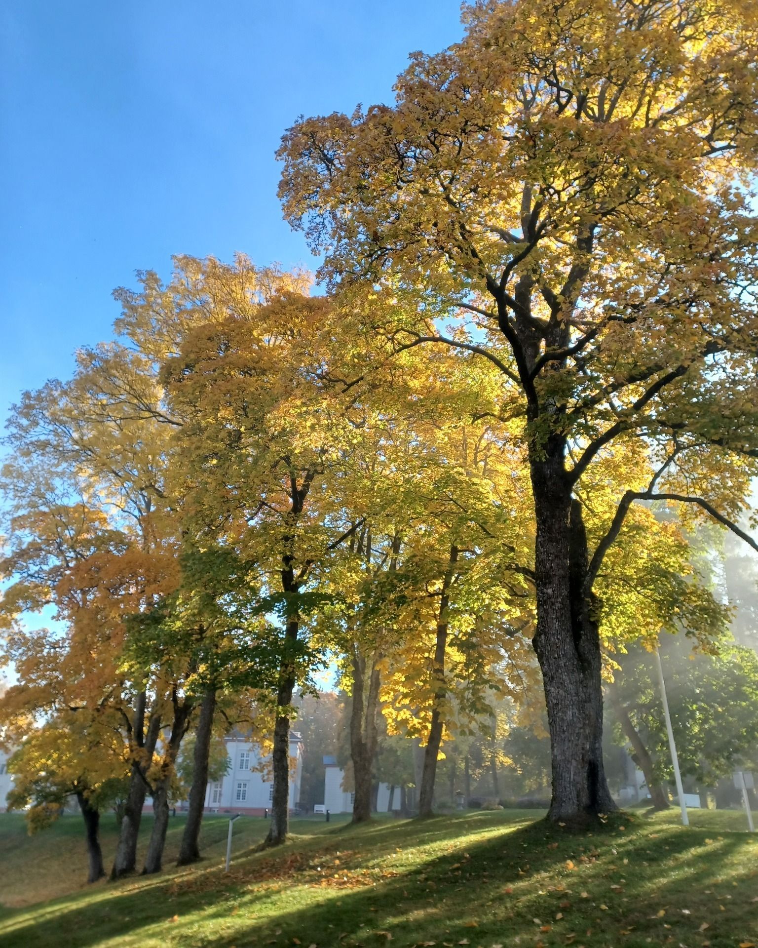 Høstfarger på Eidsvoll 1814.