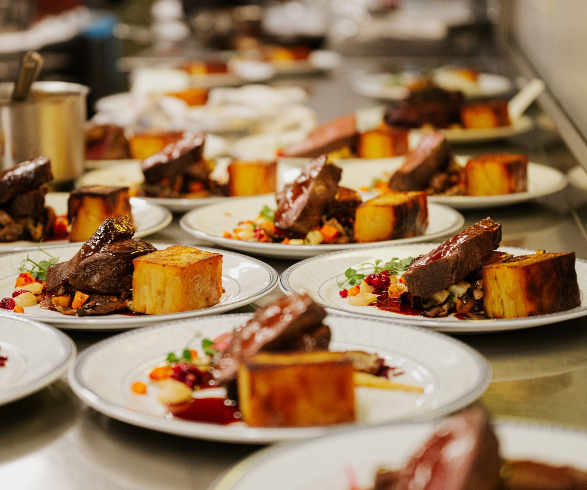Plated gourmet dishes lined up on a catering table, with seared meat and golden squares on white plates.