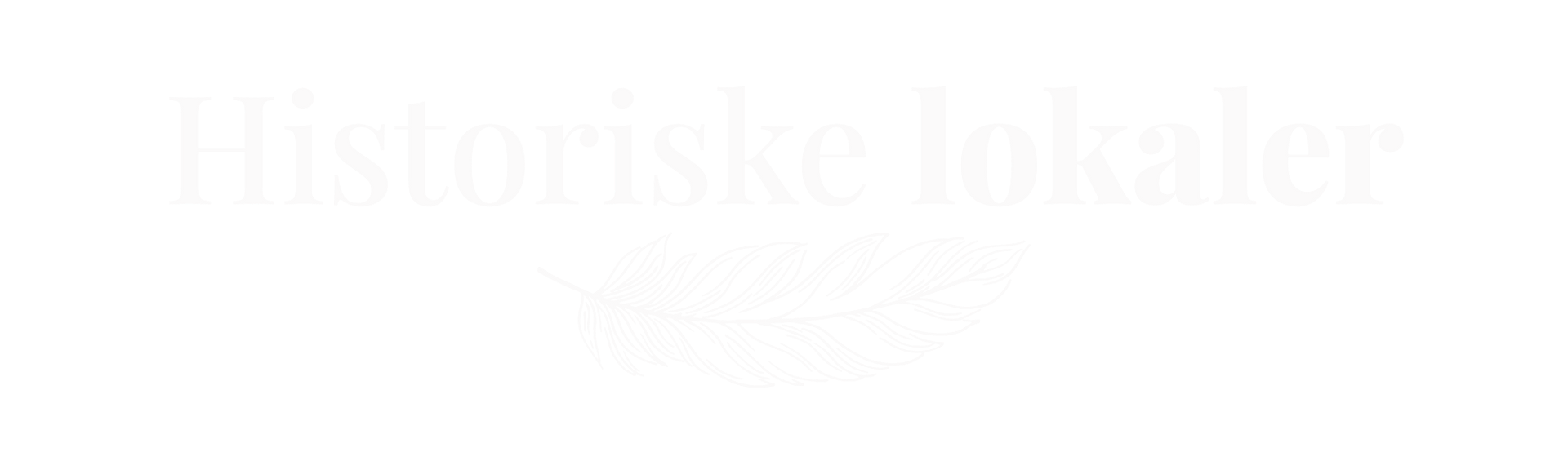 Tomt hvitt område.