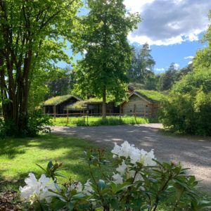 Skogkledd landlig hus med grusvei, grønn plen og hvite blomster i forgrunnen