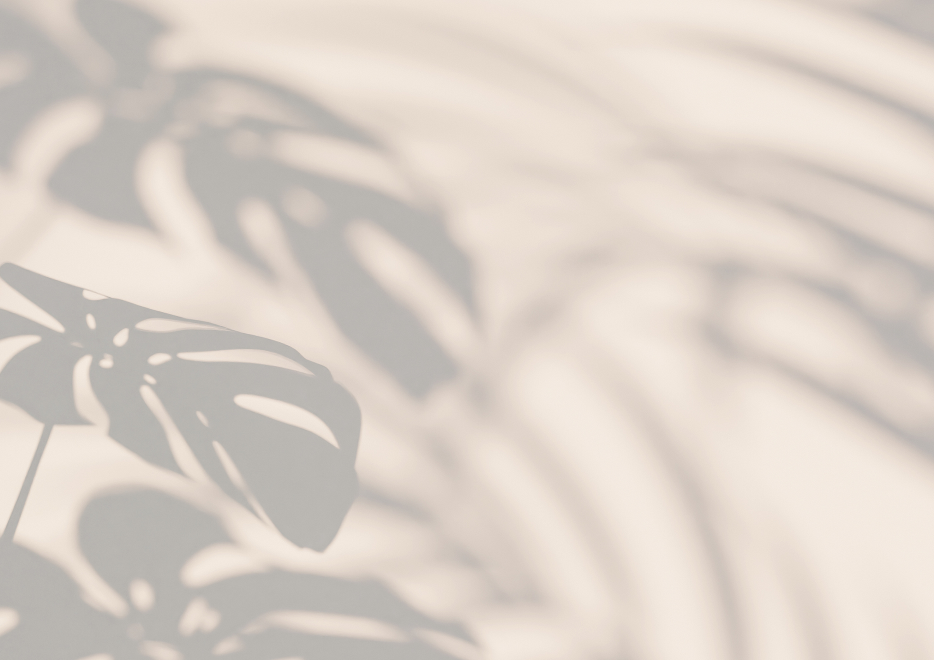 Shadow of Monstera leaves on a light beige surface.