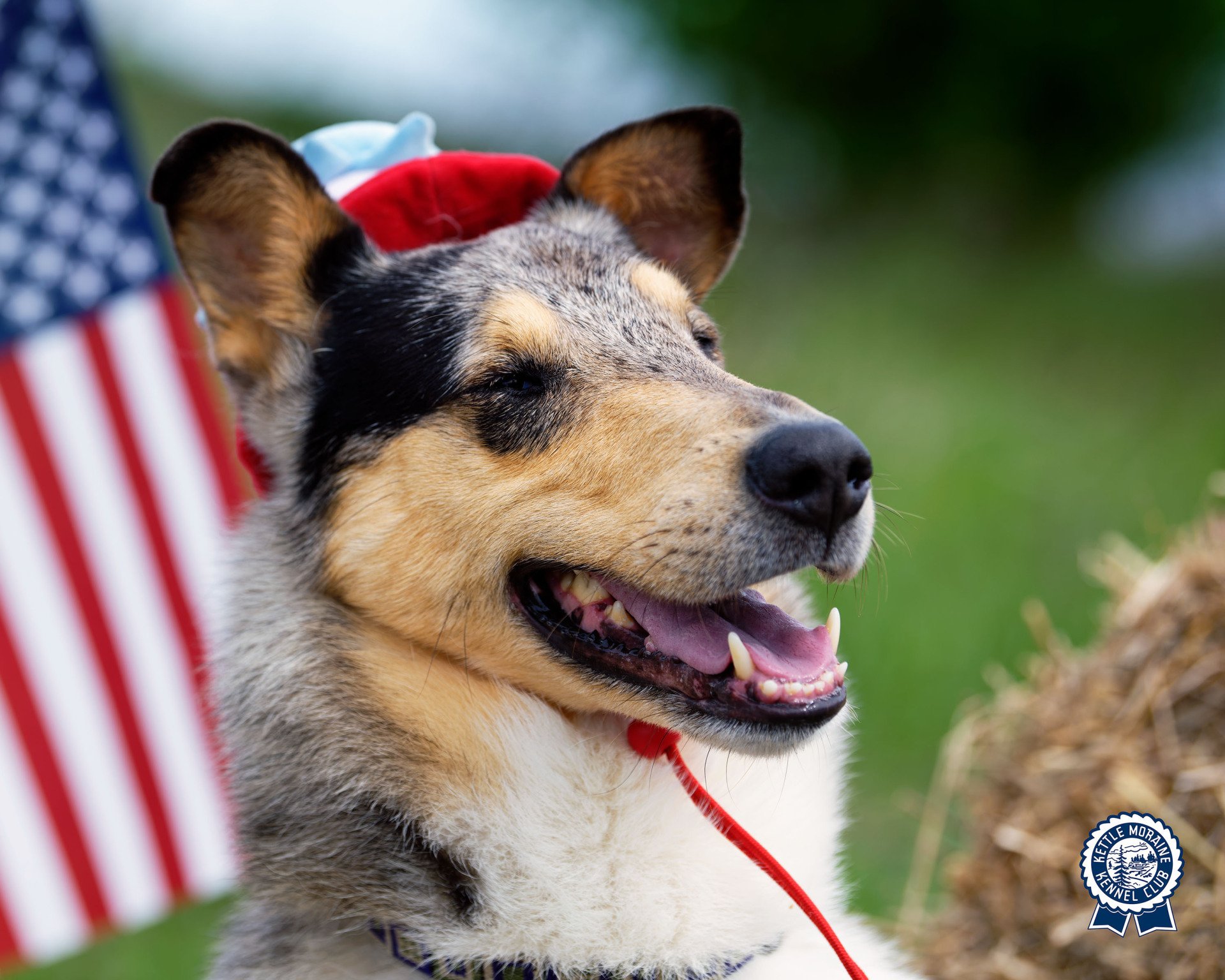 Contact Information for Kettle Moraine Kennel Club