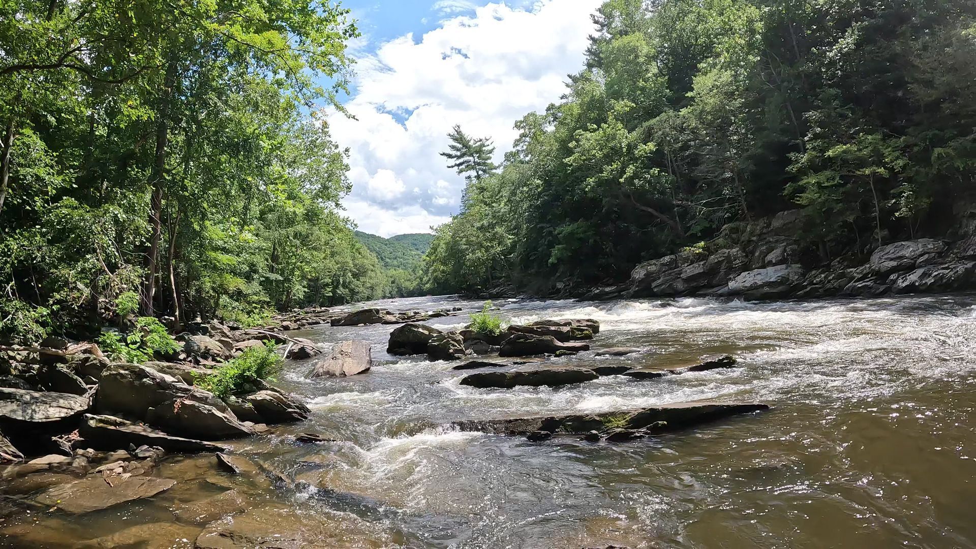 Spring In the Smokies
