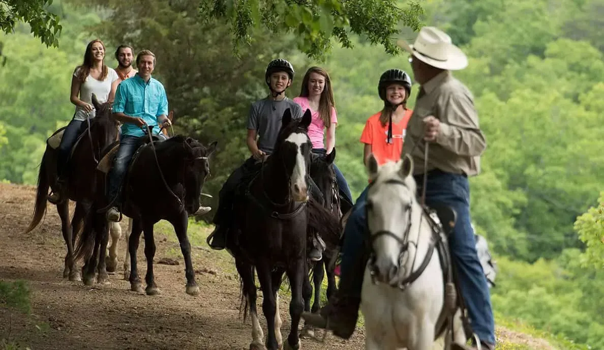 Group horseback riding on a forest trail, led by a rider in a white hat.