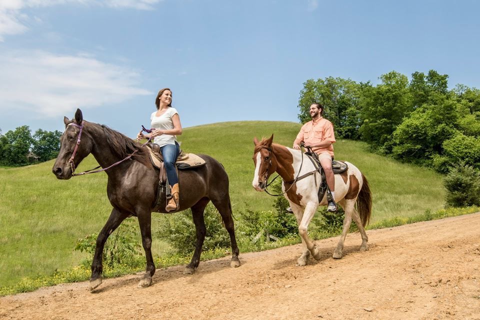 Two people riding horses on a dirt path through a grassy, sunlit landscape.