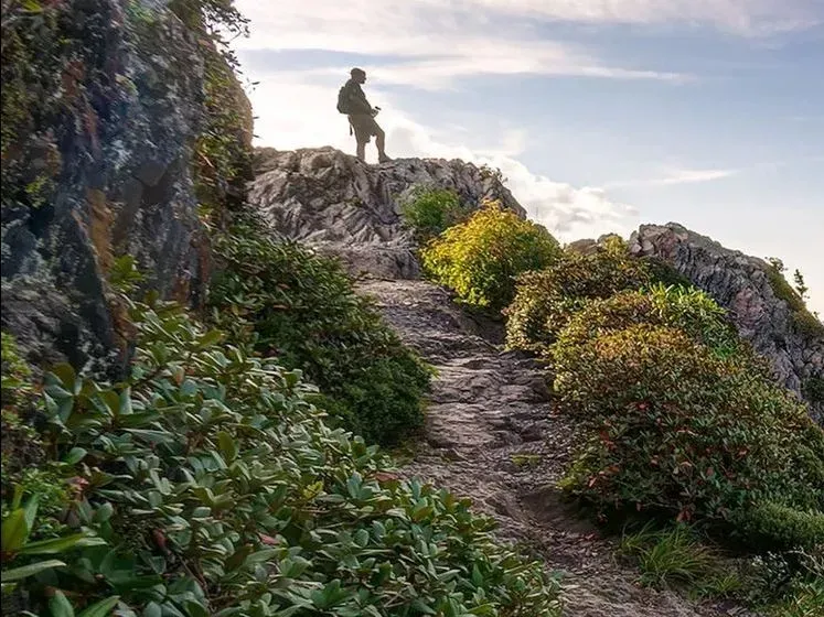Hiker standing on a rocky cliff trail above lush green bushes at sunrise