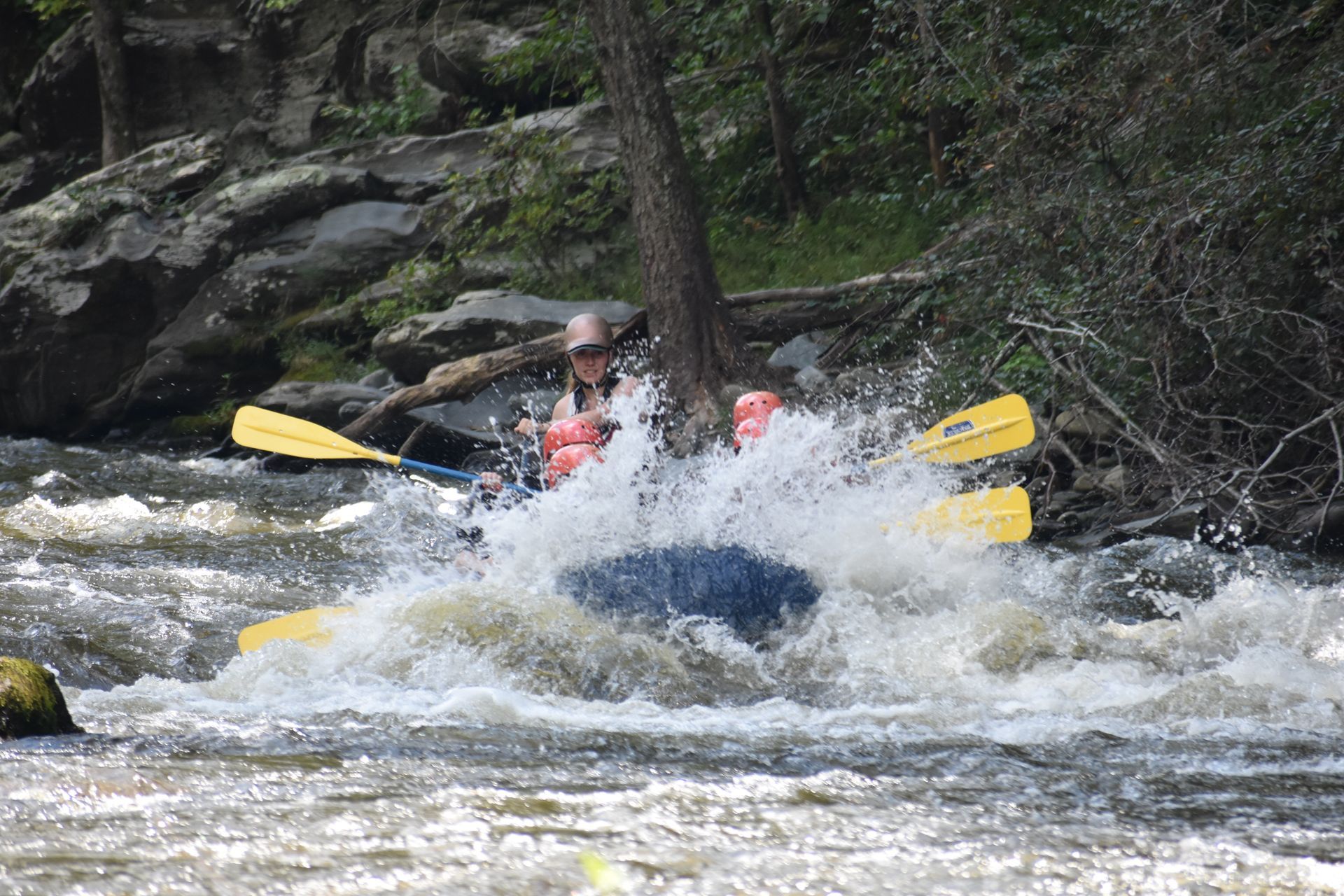 Spring Adventures Near Gatlinburg