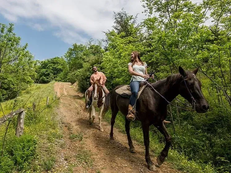 Two riders on horses traveling along a dirt trail through green woods under a blue sky