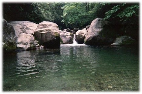 Rocky pool with clear green water surrounded by large boulders and dense forest greenery