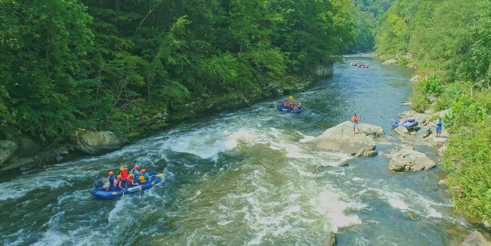 Rafters in a blue raft navigate whitewater rapids on a river surrounded by a lush green forest.