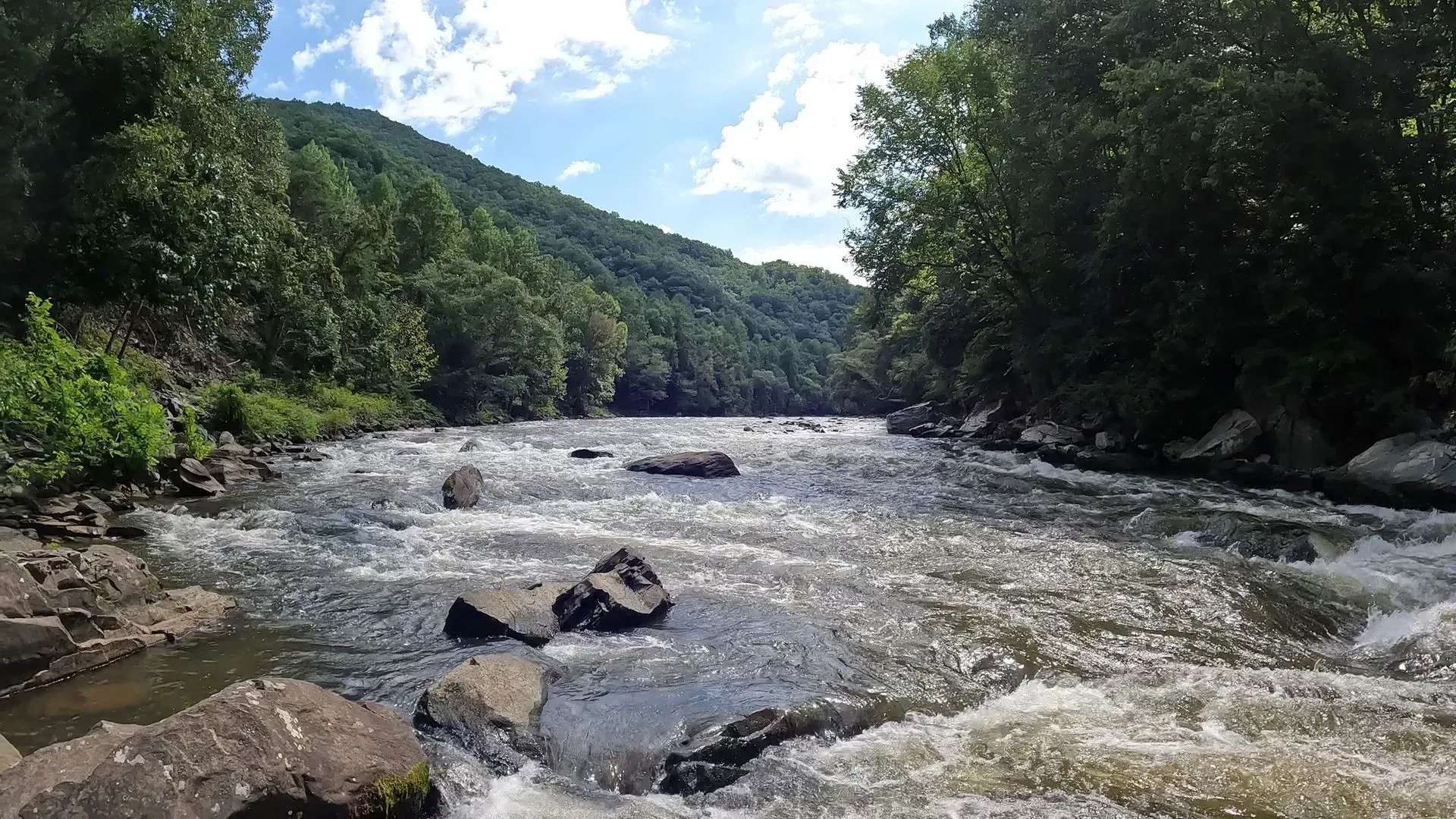 Rocky river rapids flowing through a lush green forest under a partly cloudy sky