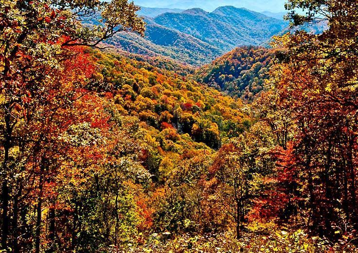The Best Fall Activities Near Gatlinburg