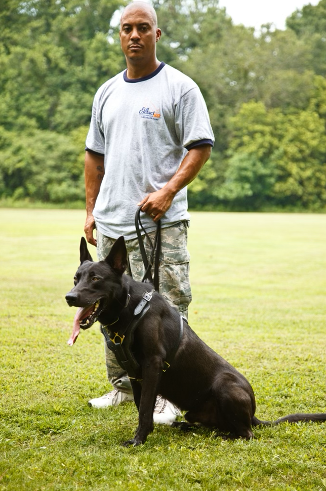 Protection Dog 