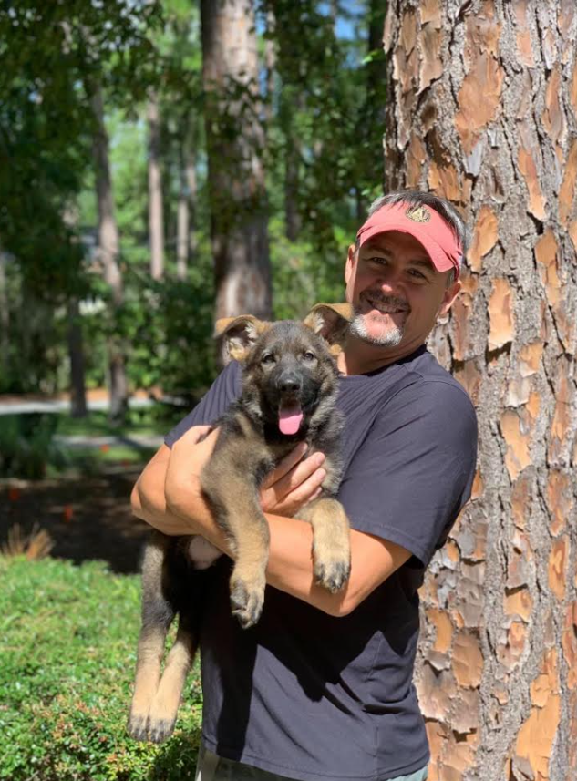Protection Dog Puppy