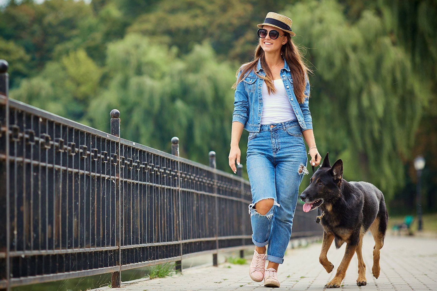 trained protection dogs for women
