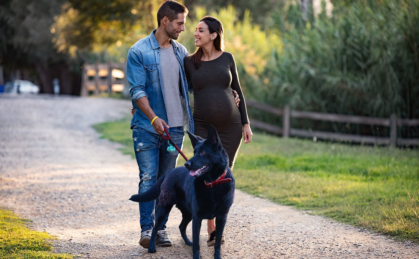 Benefits of a Protection Dog