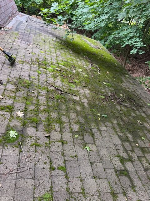 Moss-covered brick walkway on a steep slope beside dense green vegetation