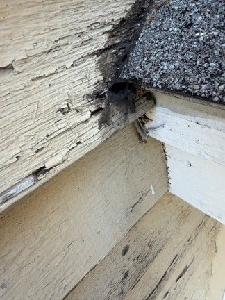 Gutter along a dark shingle roof with ladder visible.