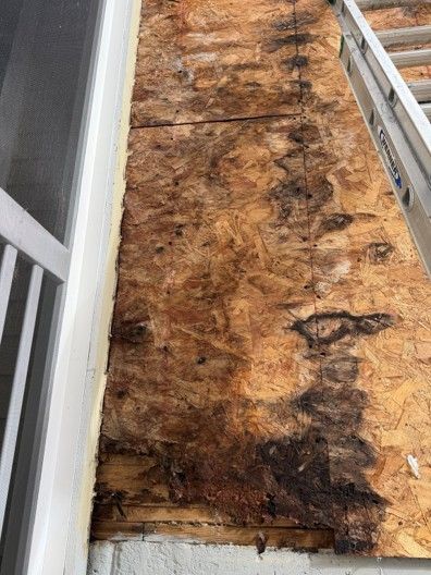 Gutter along a dark shingle roof with ladder visible.