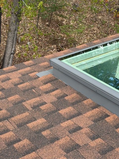 Rooftop shingles beside the corner of a glass pool enclosure, with trees in the background
